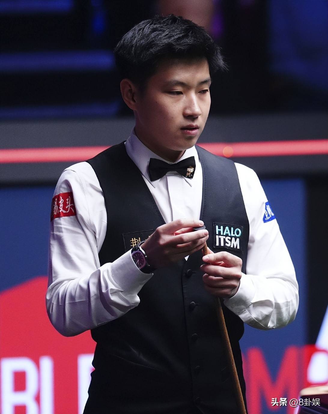 的世界游泳 的世界游泳